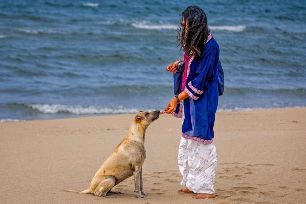 hunde-bekommt-leckerlies-vonöeiner-jungen-frau-am-strand