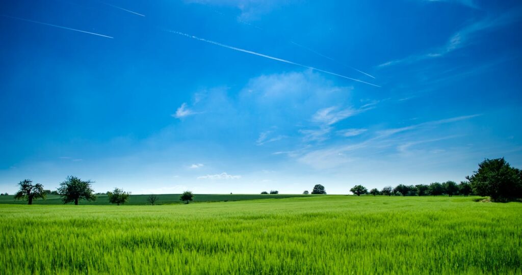 landschaft-mit-gruenem-gras-und-blauem-himmel