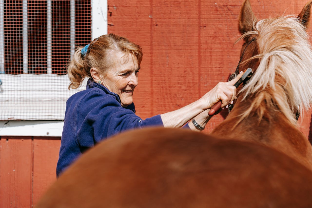 alte-blonde-frau-buerstet-braunes-pferd