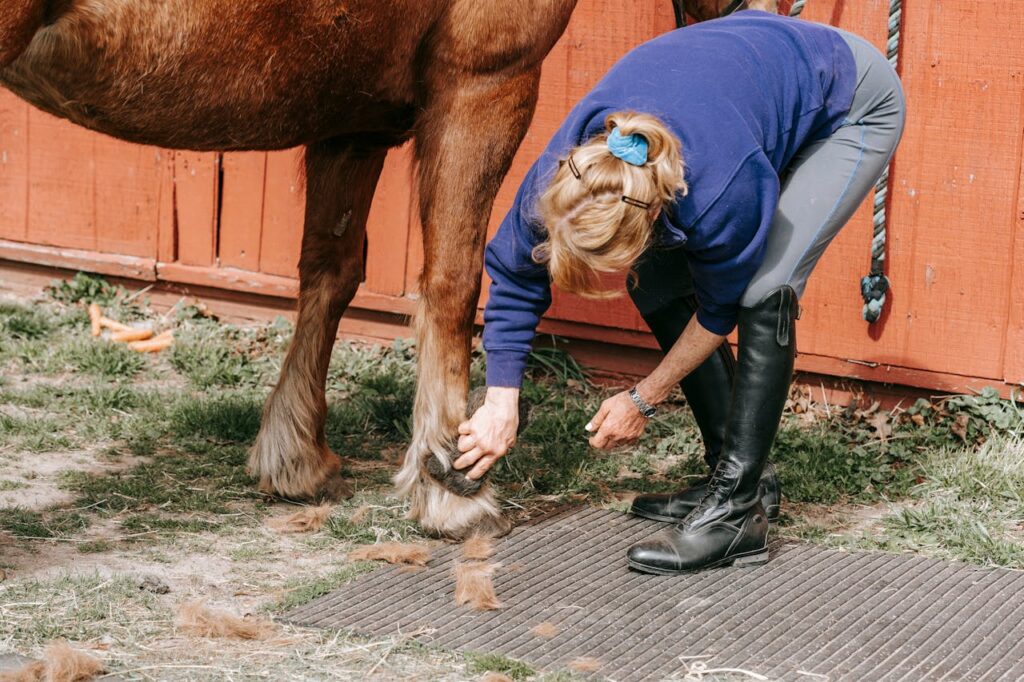 blonde-frau-putzt-hufe-von-einem-pferd