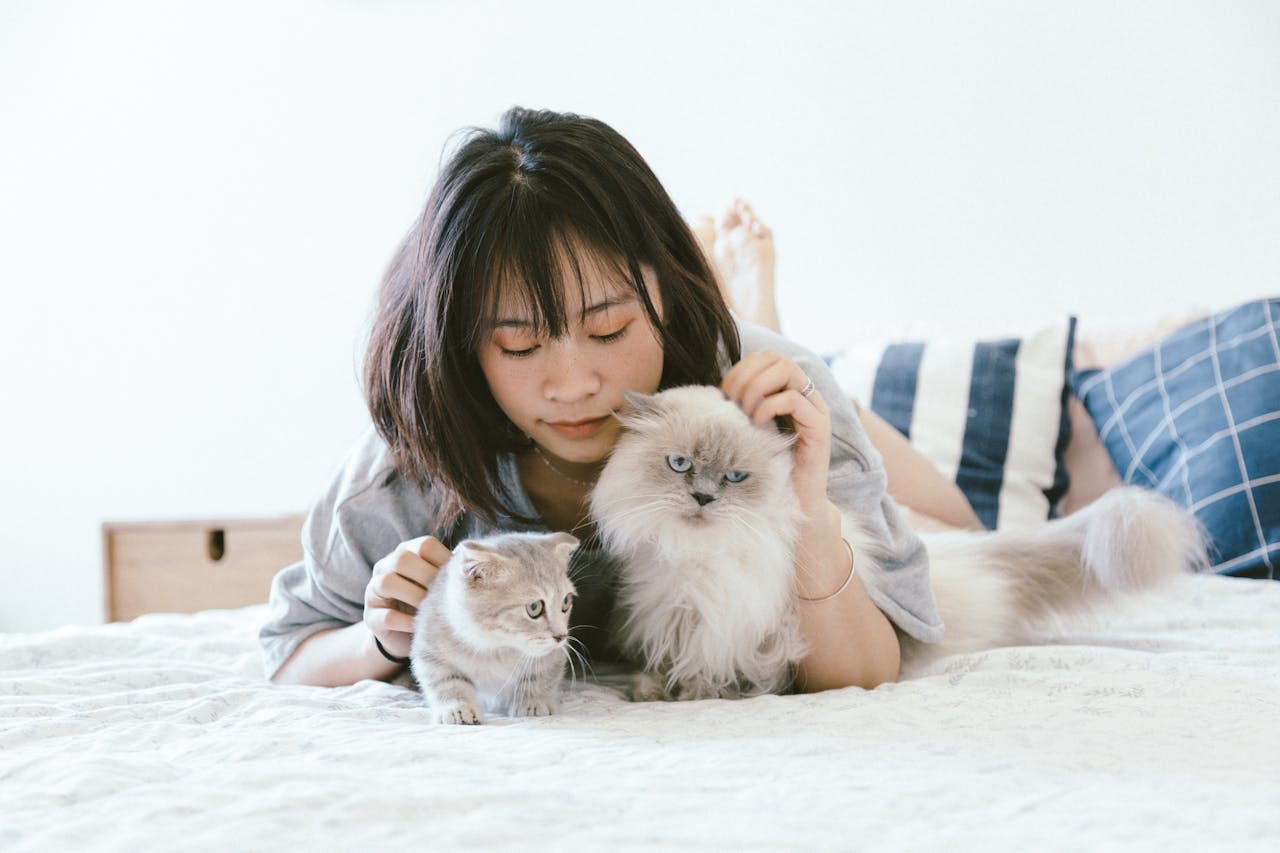 frau-mit-schwarzen-haaren-kuschelt-mit-zwei-katzen