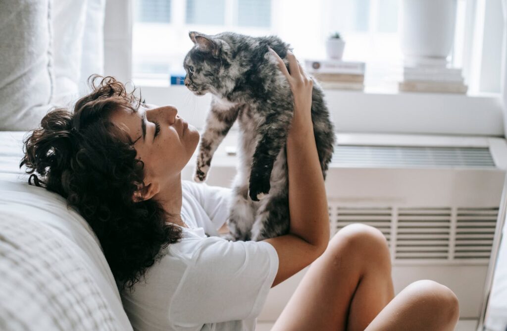 frau-mit-weissem-shirt-haelt-graue-katze-hoch