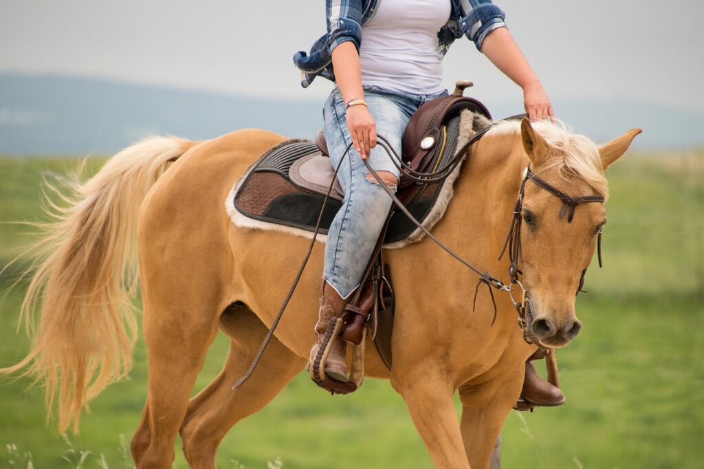 frau-mit-weissem-shirt-reitet-hellbraunes-pferd