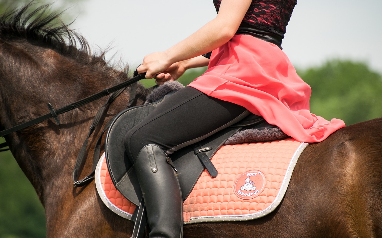 frau-reitet-dunkelbraunes-pferd-mit-orangenem-sattel