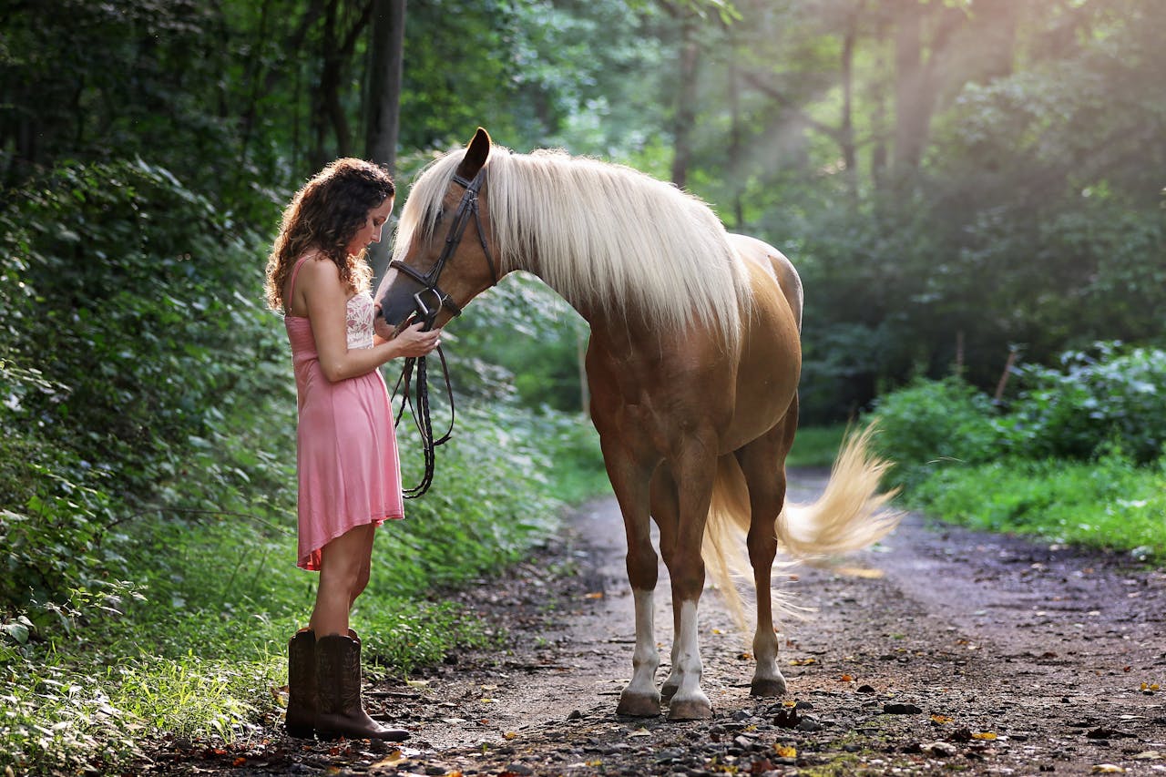 maedchen-in-pink-streichelt-braunes-pferd