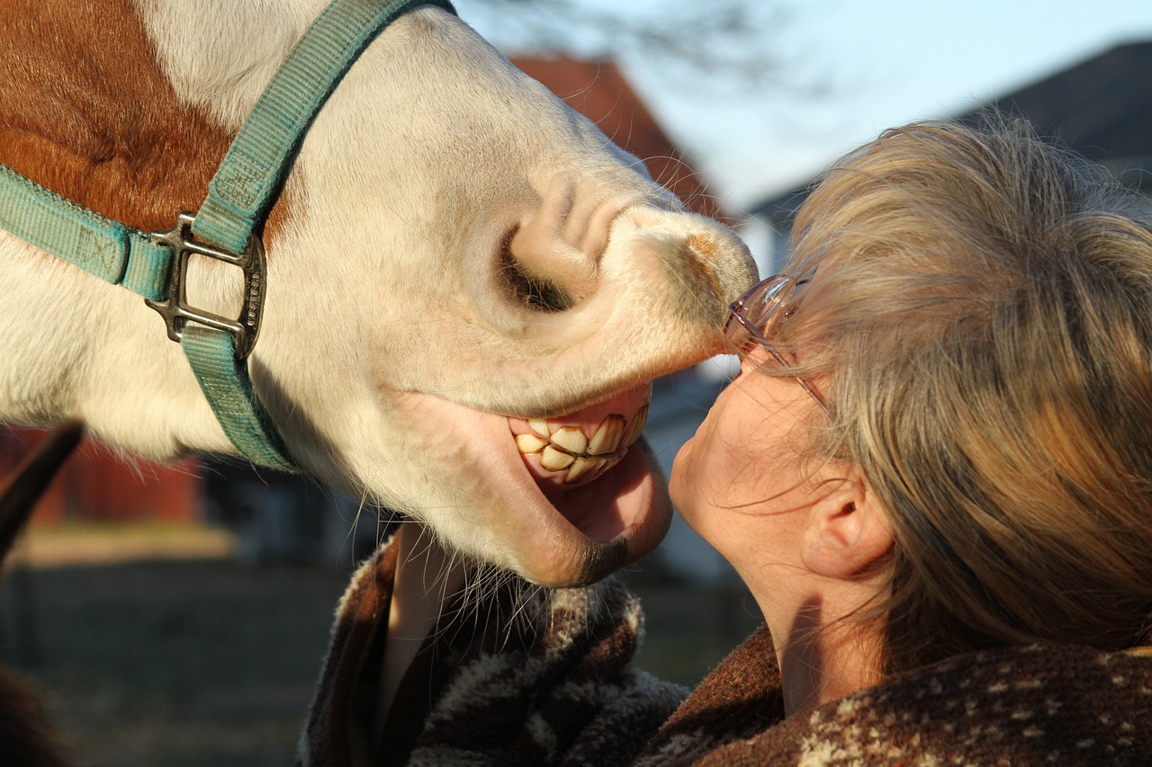 pferd-zeigt-alter-frau-seine-zaehne