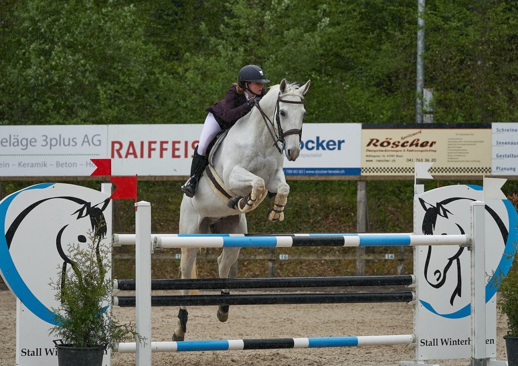 weisses-turnierpferd-springt-über-hinderniss