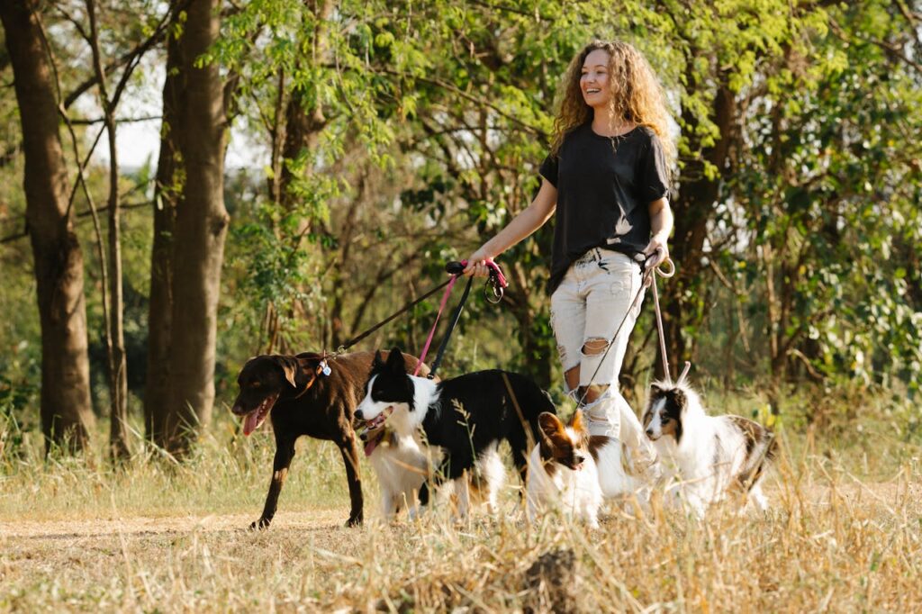 frau-mit-locken-geht-mit-vier-hunden-gassi