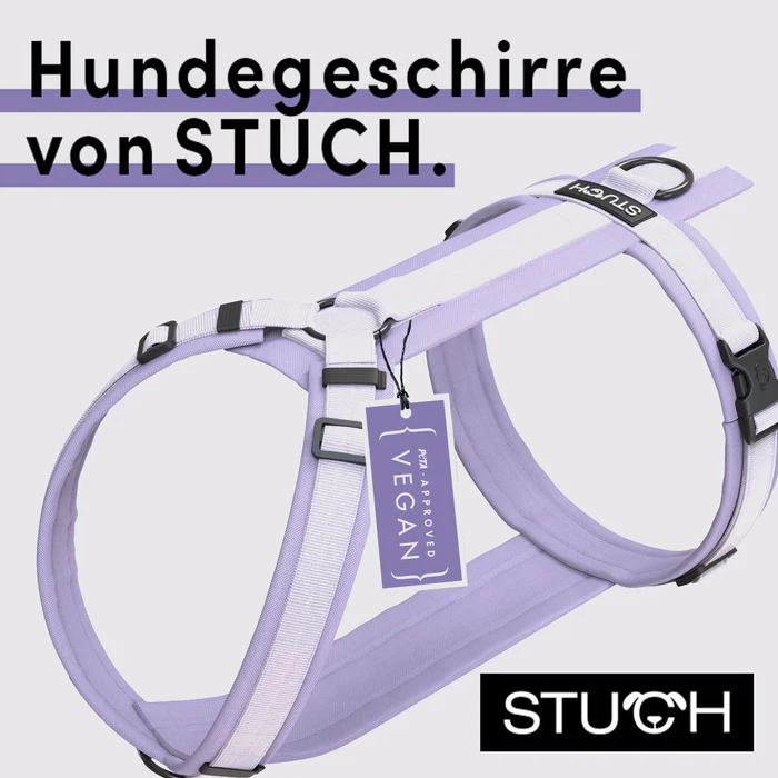 stuch-lila-geschirr-produktfoto